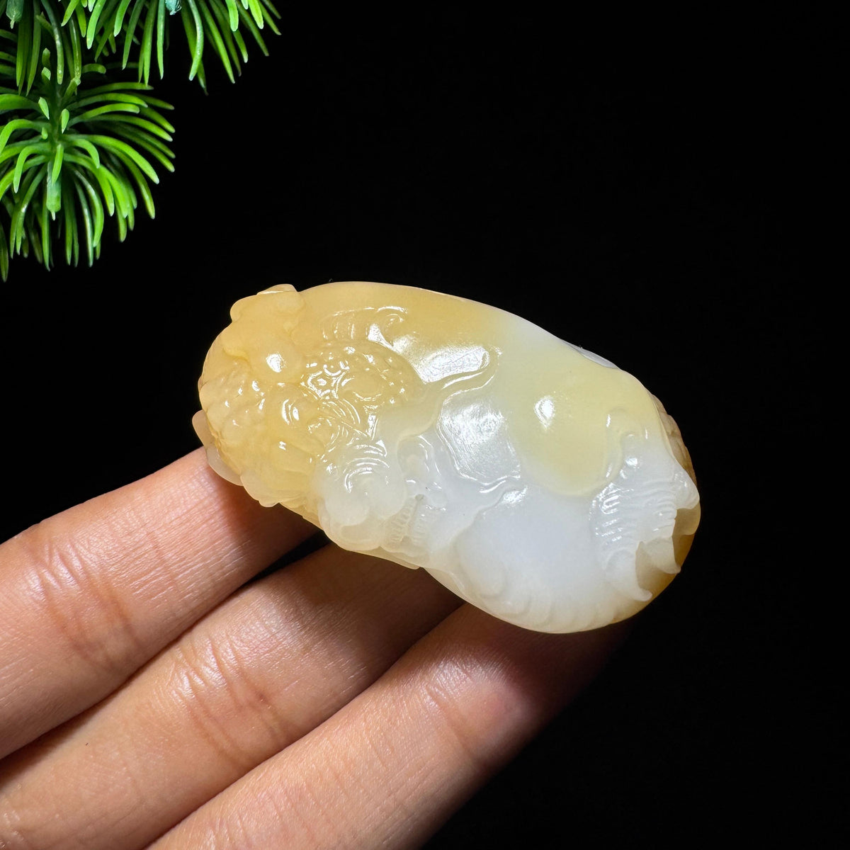 和田玉且末山料糖白龙（yc732546）