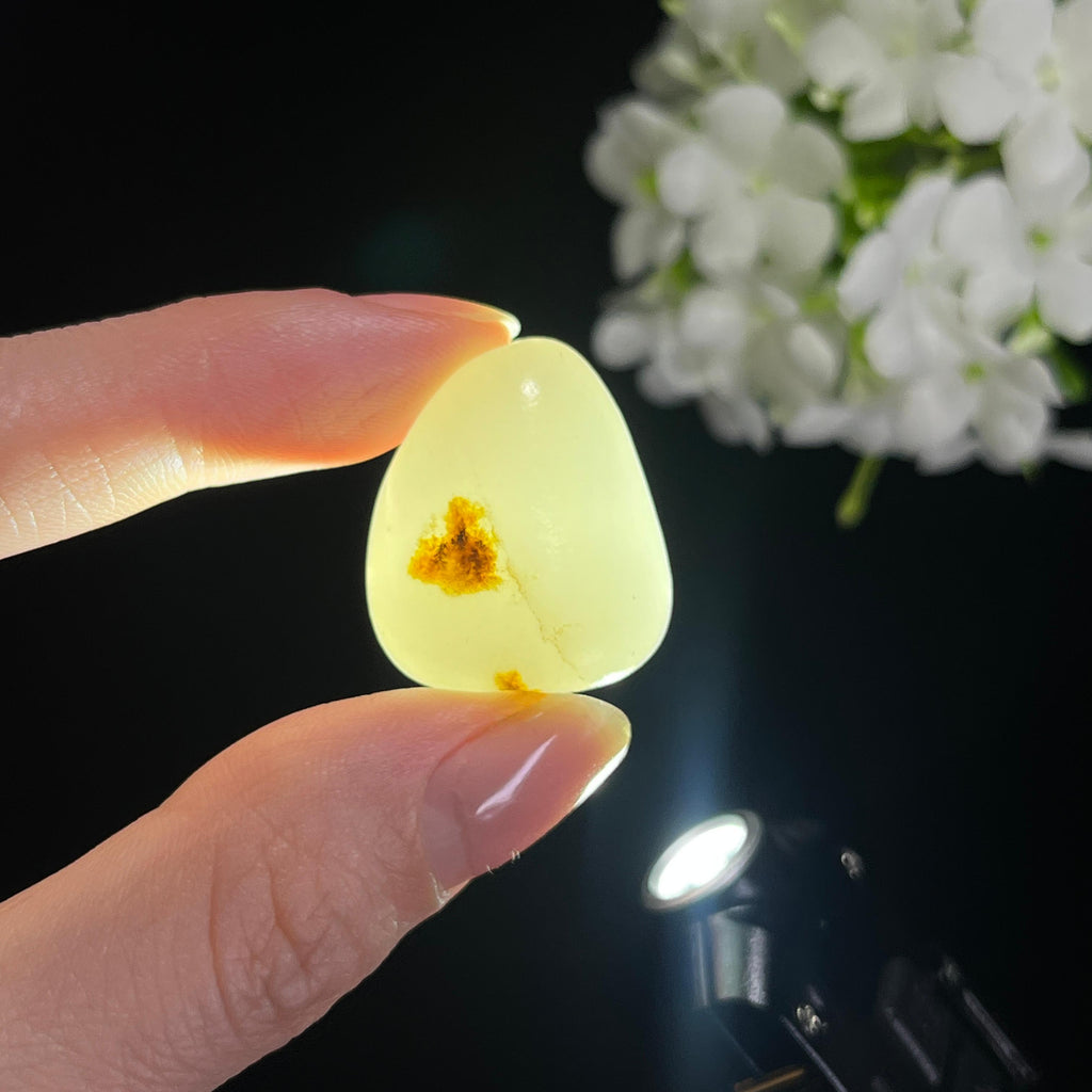 和田玉一级白洒金秋梨皮象形桃心籽料原石（yc298742）
