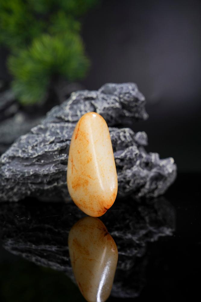 水滴型暖白种洒金皮原籽（yc208760）