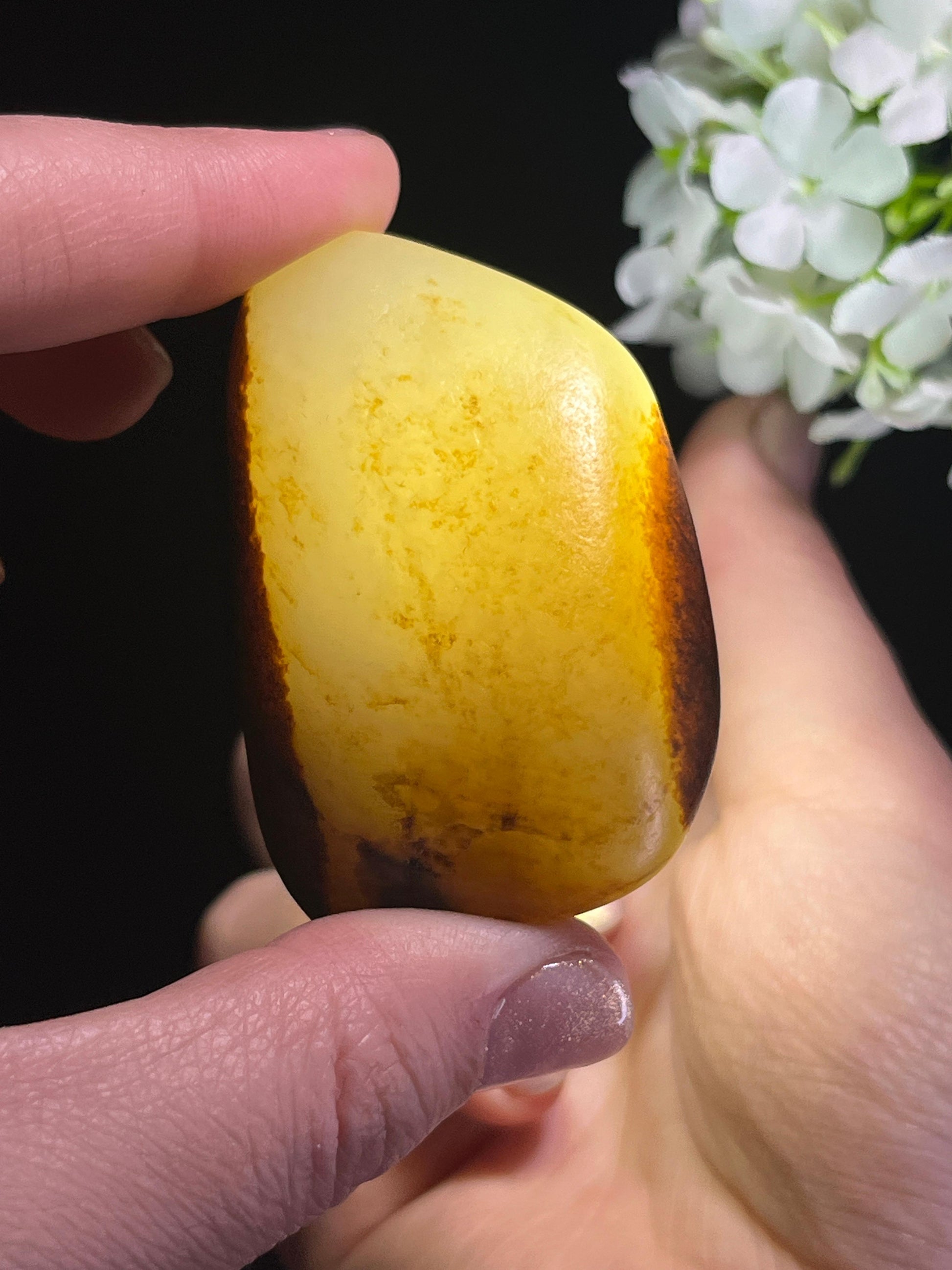 和田玉收藏级白玉洒金聚黑皮籽料原石（yc262823）