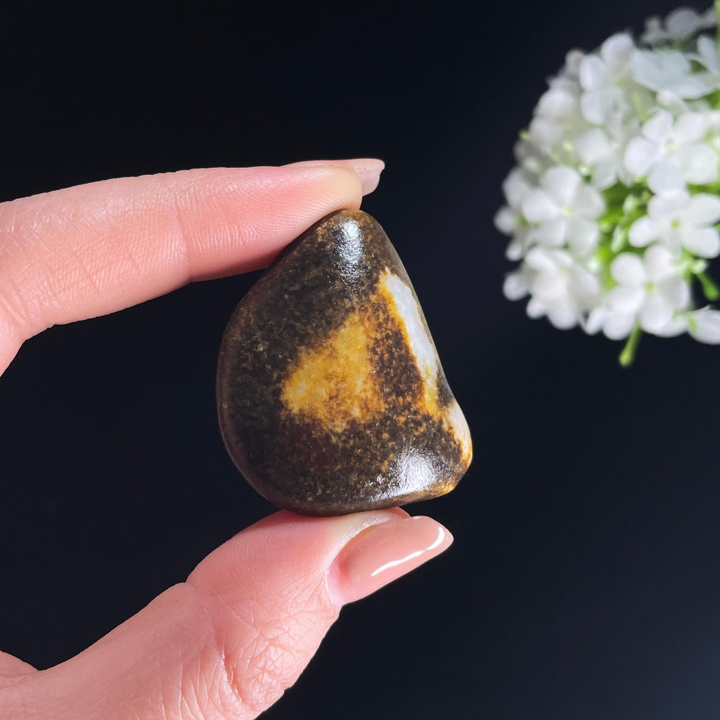 和田玉白玉“玄壁生金”聚黑皮籽料（yc386333）
