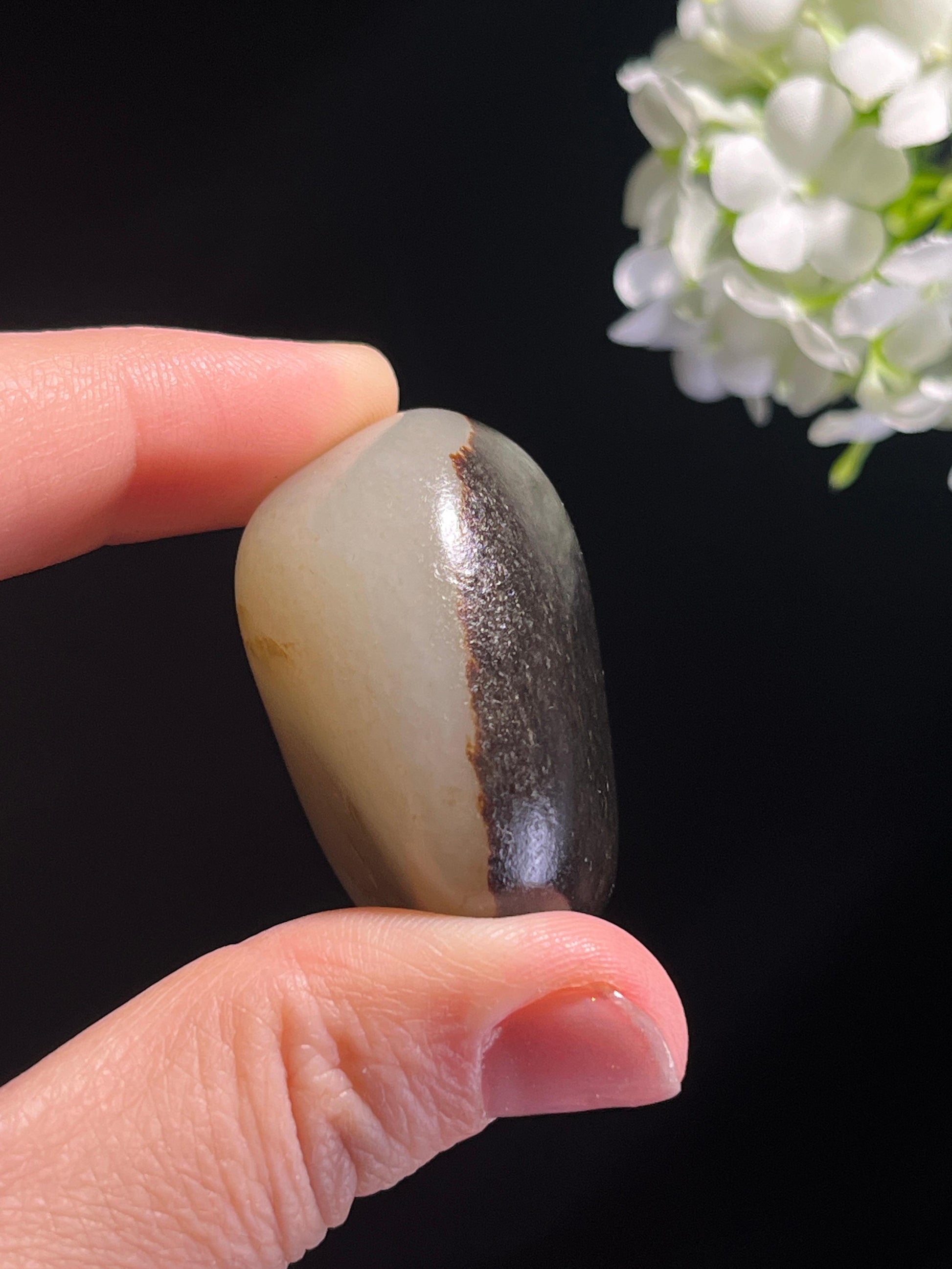 和田玉收藏级聚黑皮籽料原石（yc262746）