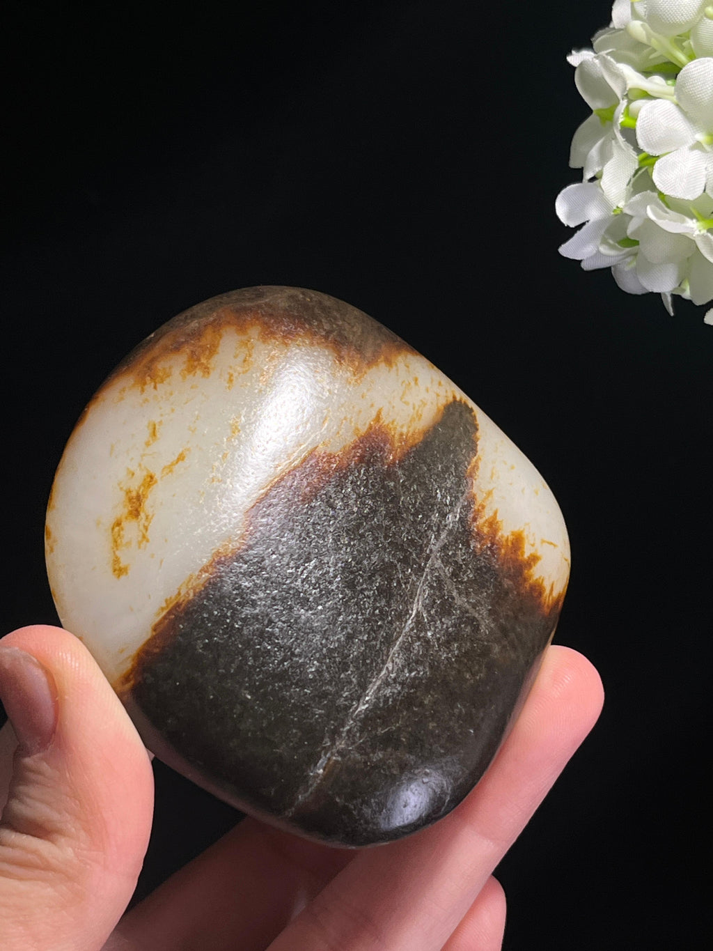 和田玉收藏级白玉聚黑双面皮籽料原石（yc262844）