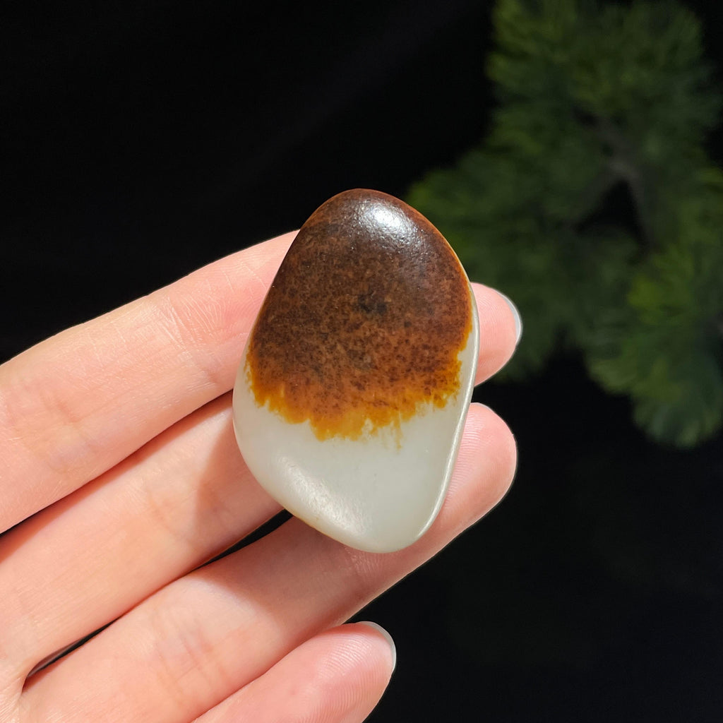 新疆天然和田玉黑红皮特色籽料（yc538100）