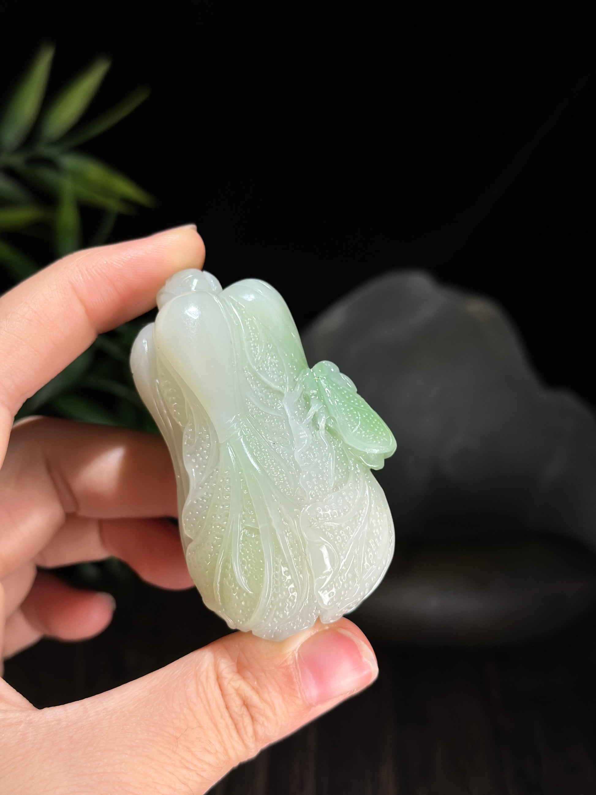 和田玉百财聚来带翠白玉白菜手把件（yc703086）