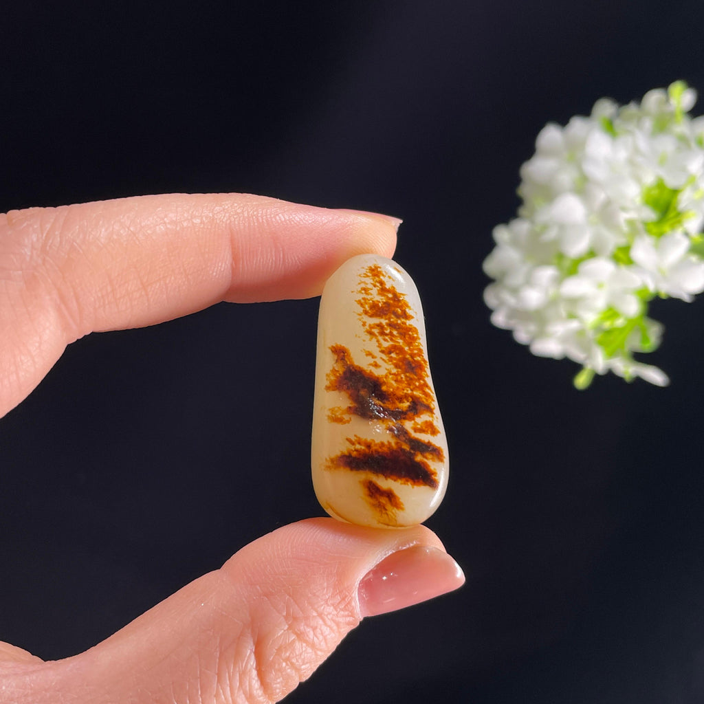 和田玉白玉意境聚红皮“晚霞满天”籽料原石（yc283051）