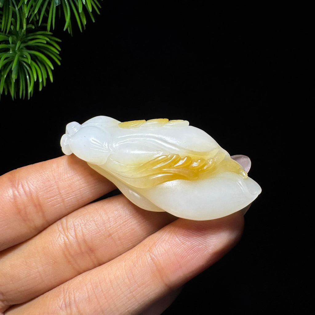 和田玉山料糖白玉兰花（yc732572）