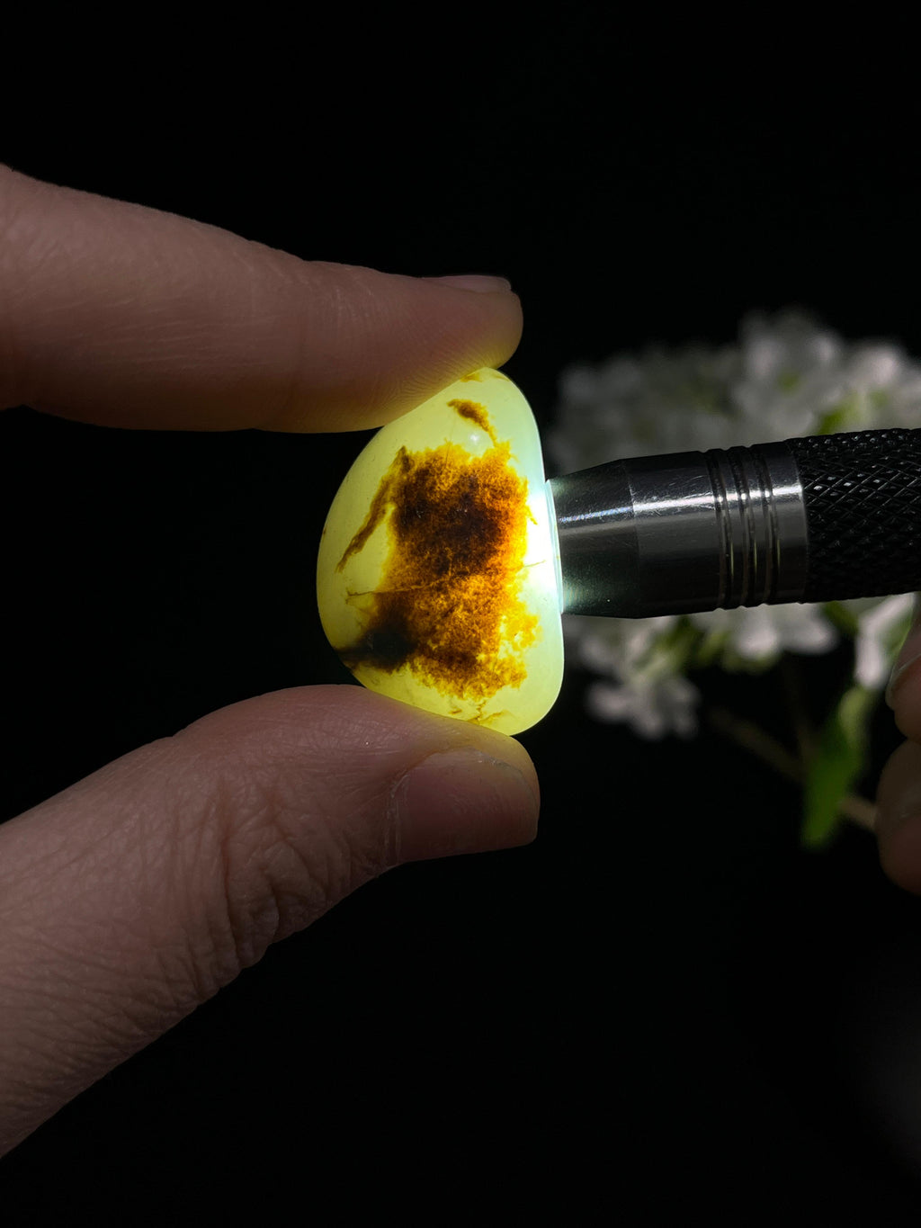 新疆和田玉精品聚黑皮籽料原石（yc251636）