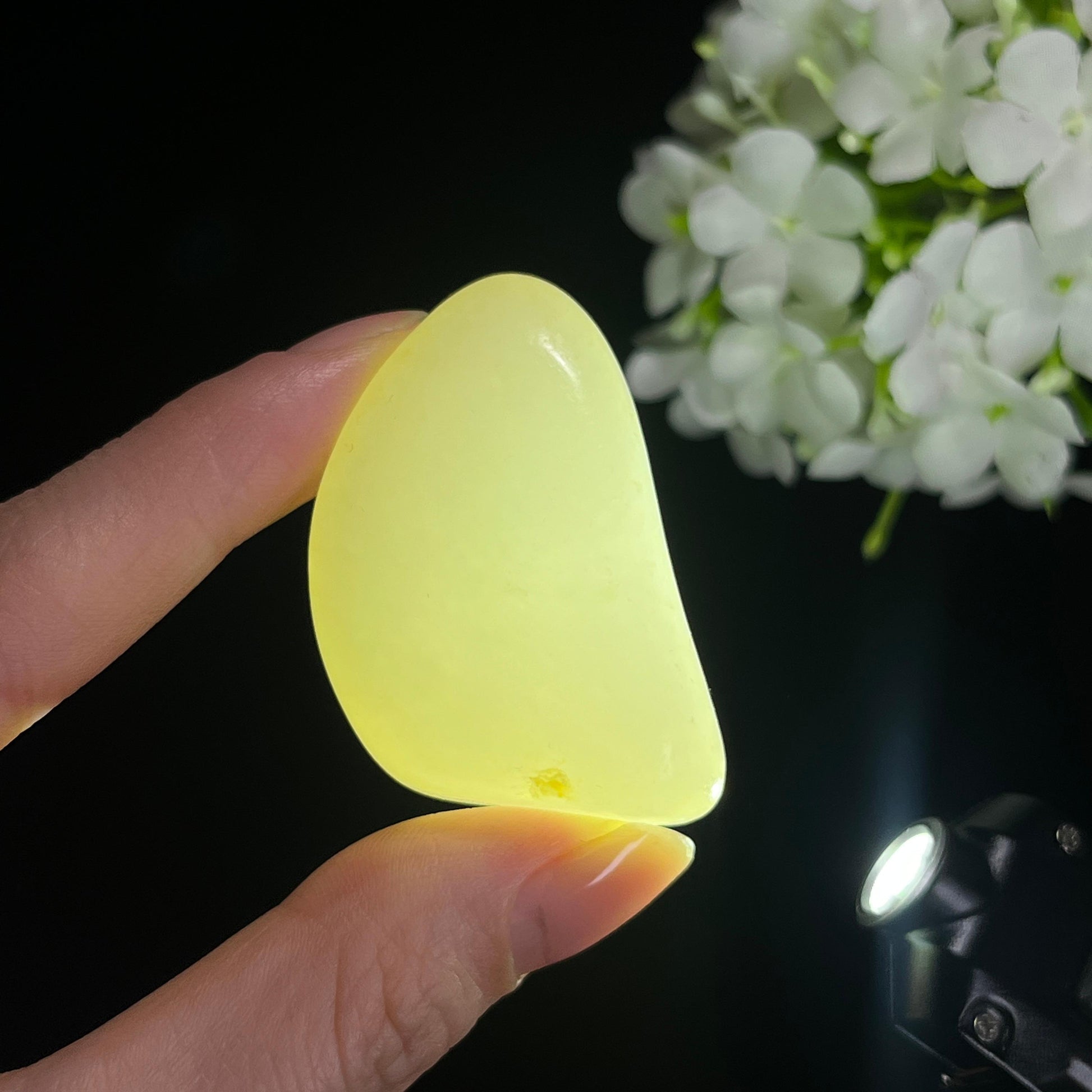 和田一级白玉“玉脂浅金籽”籽料原石（yc297676）