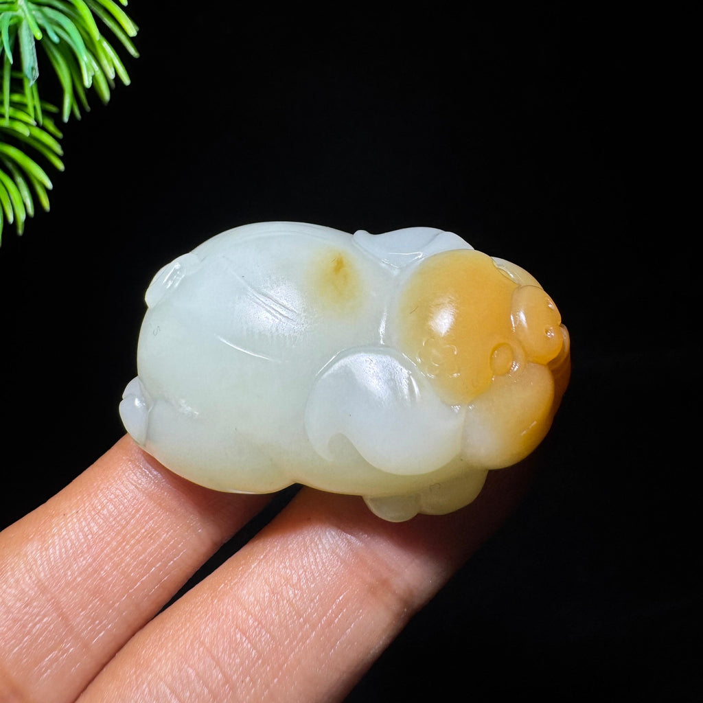和田玉山料糖白玉猪（yc712738）