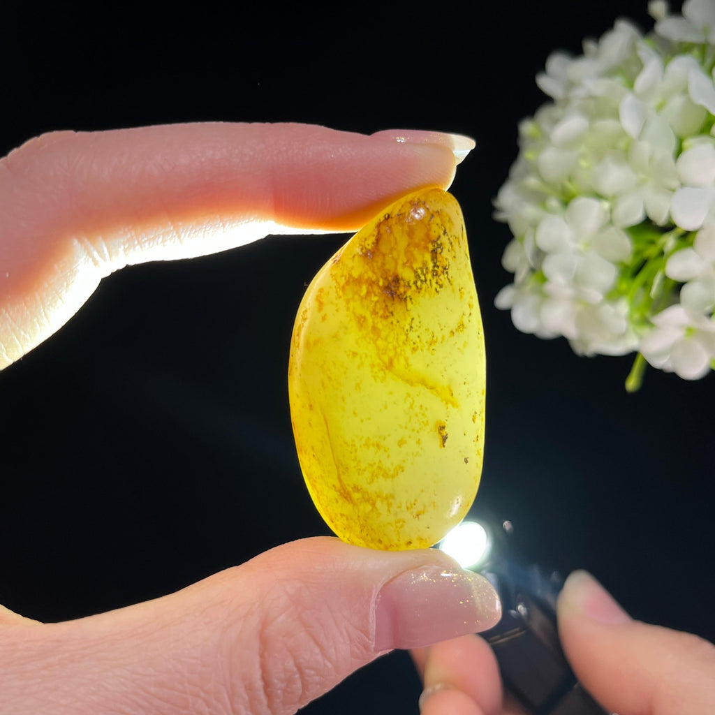 和田玉青白玉“风絮金尘”洒金皮籽料（yc350310）