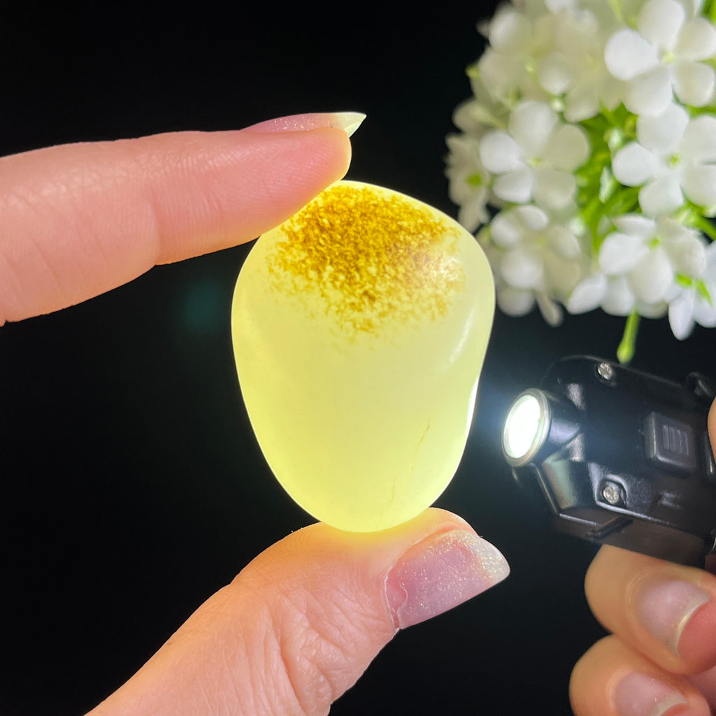 和田玉暖白种“秋阳暖雪”秋梨皮籽料（yc328954）