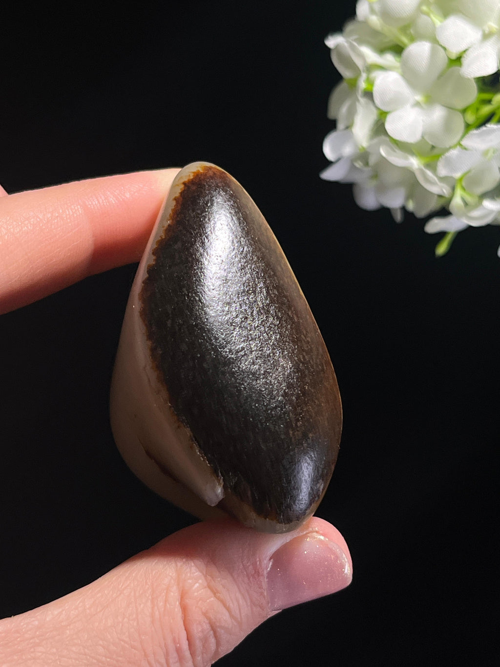 和田玉收藏级白玉洒金聚黑皮籽料原石（yc262823）