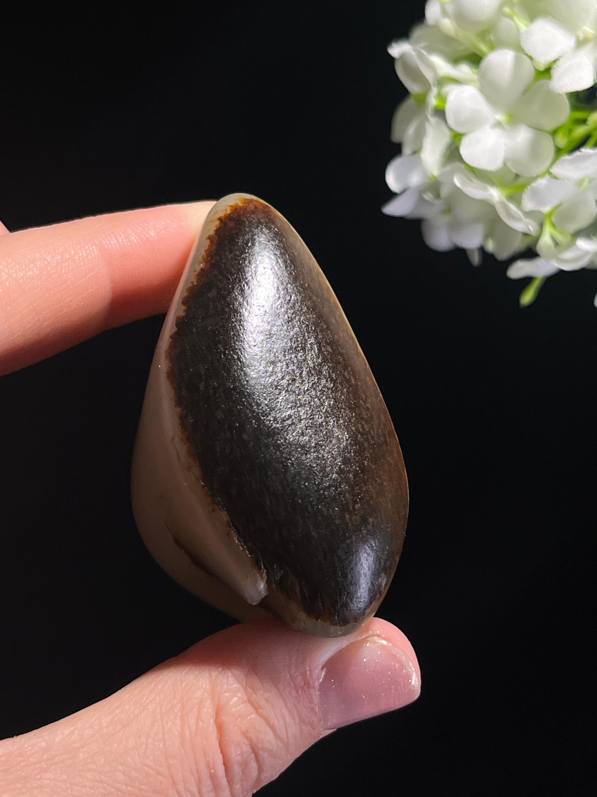 和田玉收藏级白玉洒金聚黑皮籽料原石（yc262823）