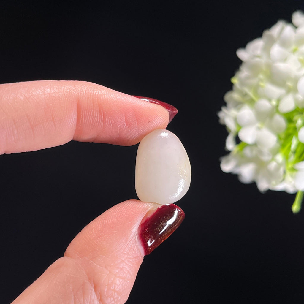 和田玉白玉聚红皮精品籽料（yc336405）