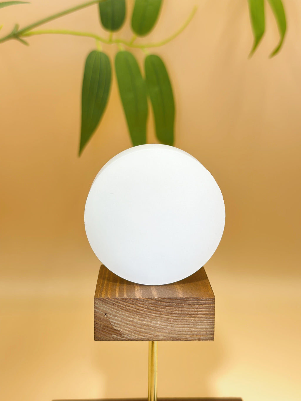 和田玉.凝脂白·圆满镯芯（yc769017）