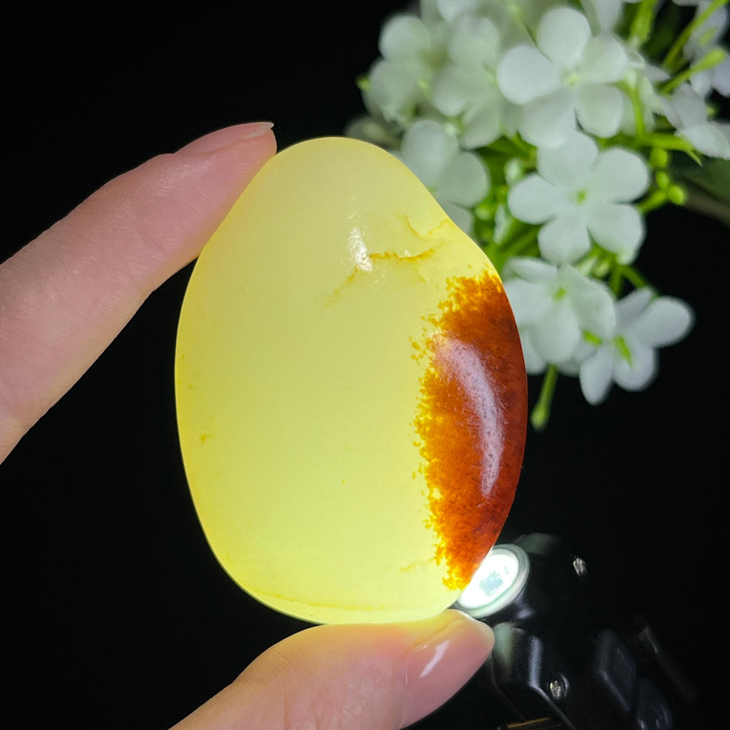 新疆天然和田玉“赤霞抱月”聚红皮籽料（yc326555）