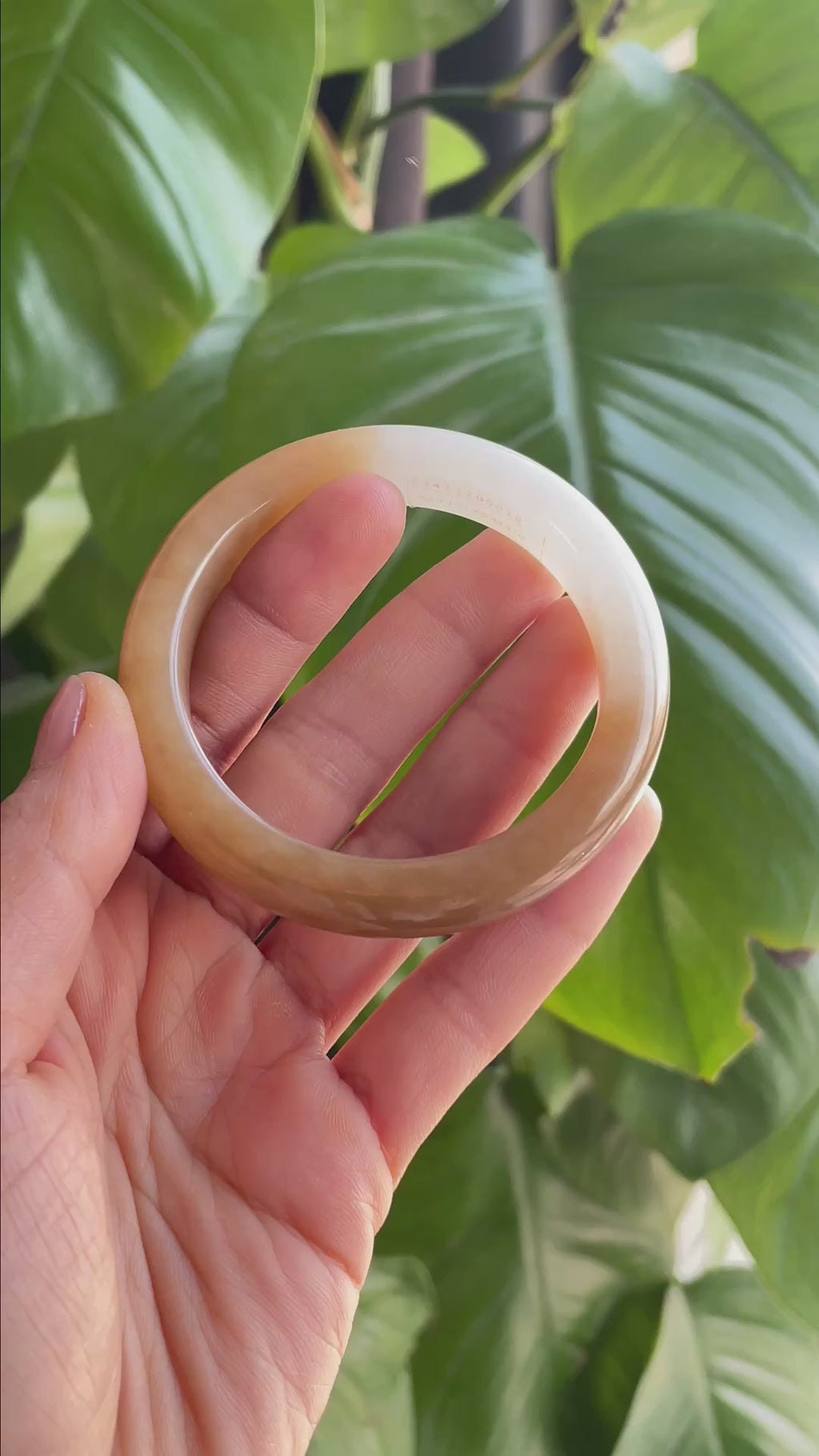 新疆天然和田玉“暖玉衔白”且末糖白手镯（53）（yc296571）