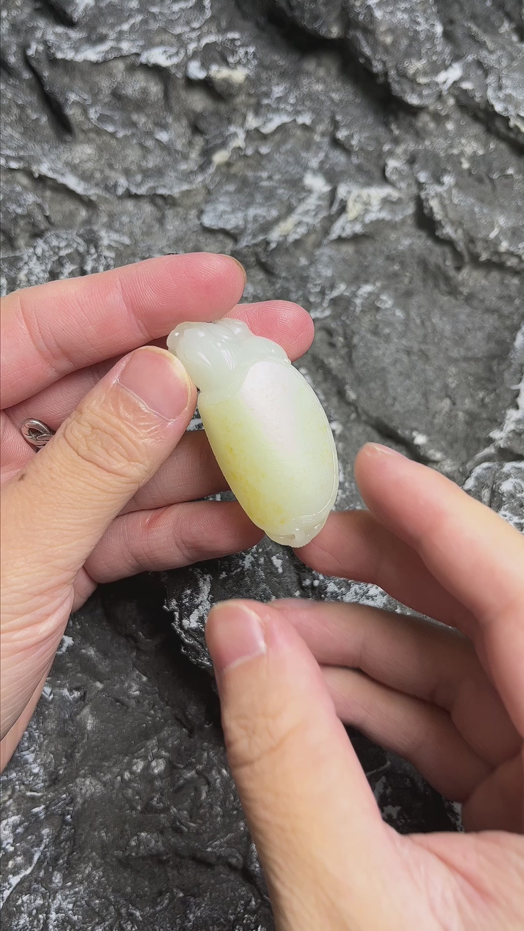 和田玉——洒金皮籽料龙龟挂件yc184130